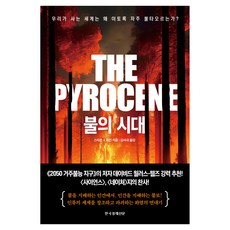 火之時代, 韓國經濟新聞, 史蒂芬 J. 派恩