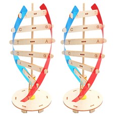 리브온 창의력 STEAM 목재 만들기 DNA 모델 105 x 265 mm, 혼합색상, 2개