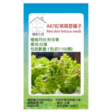 Vegetable Seed 蔬菜工坊 紅裙萵苣種子 A87, 1100個