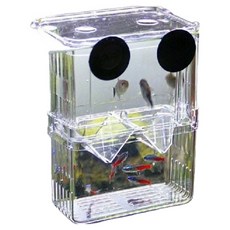 굿라이프 구피 부화통, 1개