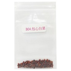 蔬菜工坊 包心白菜種子 B04, 200個