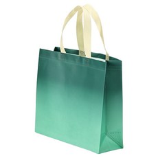 아이엔피 다용도 코팅 부직포 핸들 숄더백, 그린그라디언트, 10개