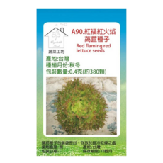 蔬菜工坊 紅福紅火焰萵苣種子 A90 0.4g 380顆, 1個