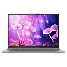 레노버 2025 아이디어패드 프로 5 16AKP10 라이젠 AI 라이젠 AI 300 시리즈 지포스 RTX 5050, Luna Grey, 1TB, 32GB, WIN11 Home, 83JN001UKR