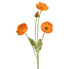 힘룸 양귀비 조화, 진오렌지, 1개