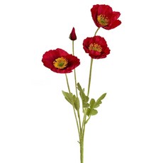 힘룸 양귀비 조화, 진홍색, 1개
