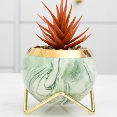 THEIA GLOW 金色支架 + 多肉迷你花盆組, 1套, 綠色