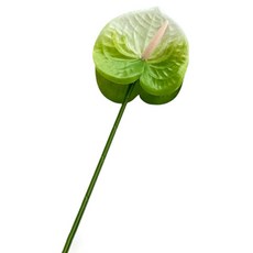 힘룸 심플한 포인트 조화, 화이트그린, 1개