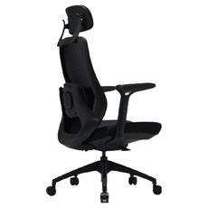 바이타 허리마사지 의자 방문설치, LAVINS M, 돌핀 블랙