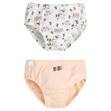 moimoln 幼兒用 Rabbito酷涼ever 內褲 2件組 M248ISN22P