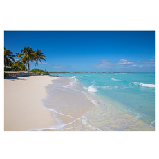 KODACHIEF 自然風海報遮擋簾, 31