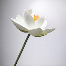 FLORAL M 日式上野公園典雅白荷花仿真花花材, 1個, 白色