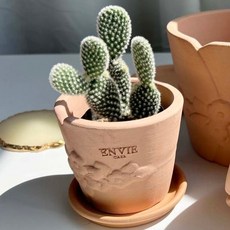 ENVIE CASA 胸花手工陶盆, 蜜桃色