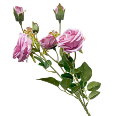 FLORAL M 英式溫莎城堡花園薔薇仿真花花材, 1個, 凱特粉