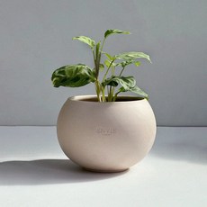 ENVIE CASA 珍珠迷你陶盆, 1個, 淺褐色