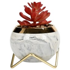 THEIA GLOW 金色立架多肉迷你花盆, 1個, 灰色(花盆)