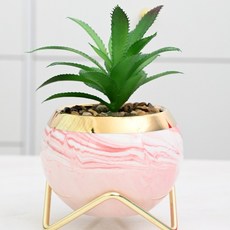 THEIA GLOW 金色支架 + 多肉迷你花盆組, 1套, 粉紅色