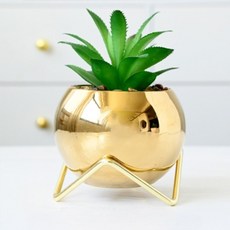 THEIA GLOW 金色立架多肉迷你花盆, 1個, 金色(花盆)