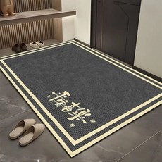 AFAMIC 艾法 開運落塵吸水玄關腳踏墊/水晶絨印花地墊