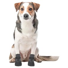 Pets Family 寵物襪4件組 防水, 1套, 灰黑色