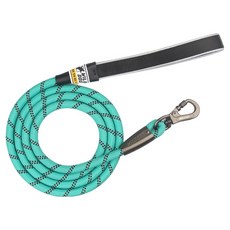 WILD DOG 狗狗夜光繩 中型犬大型犬牽繩, 1個, 藍綠色