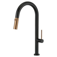 DAY&DAY 日日家居 304不鏽鋼伸縮花灑龍頭 ED-KS83777 黑金色, 1個