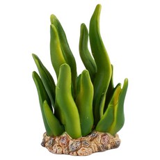 MOMOS 海藻模型公仔, 1個, 單一顏色