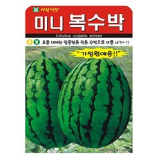 아람종묘 미니 복 수박 씨앗, 1개
