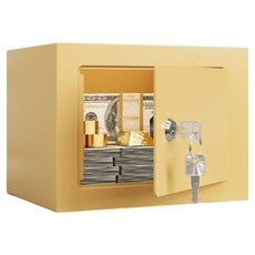 Dino 簡約實用鑰匙型迷你保險箱 23 x 17 x 17 cm, 基本款