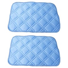 LASSLEY 蕾絲妮 冰絲涼感 枕墊/保潔墊