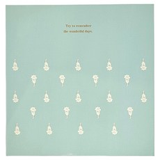 아이두일상취미 포토 점착식 초음파 앨범, 그린 블루썸, 1개, 25매