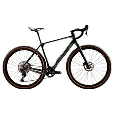 비앙키 아카덱스 프로 GRX820/822 12단 LG 로드 카본 디스크 브레이크 9.5kg 신장 180~188cm, AW그린, 168cm, 1개