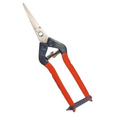 CHIKAMASA 近正 紅色剪刀 T-55SC, 1個