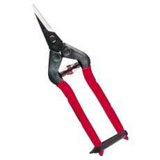 CHIKAMASA 近正 紅色剪刀 T-5C, 1個