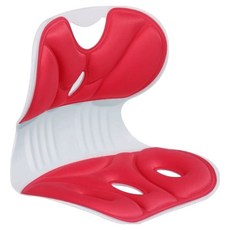 아늑공간 허리 보호 자세교정의자, 레드