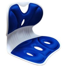 아늑공간 허리 보호 자세교정의자, 블루