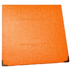 윰스 컬러풀 100매 수납 티켓북, 오렌지, 1개