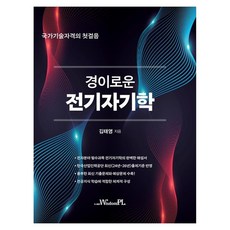 경이로운 전기자기학 국가기술자격의 첫걸음, 김태영, 위즈덤플