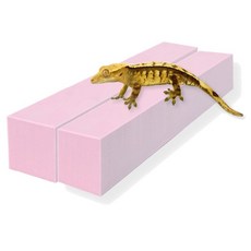 레몽크리프 도마뱀 파충류 크레스티드게코 EVA 고밀도백업 3 x 3 x 20 cm, 핑크, 2개