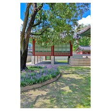視線闕, 黃孝喆, 黃孝哲 (作者), 「視線」, 拜布蘭克