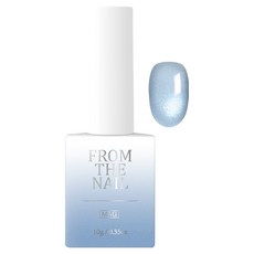 FROM THE NAIL 磁鐵凝膠美甲, BlueSilver(FG282), 10g, 1個