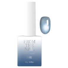 프롬더네일 마그넷 젤네일, BLUE SIVER, 10g, 1개