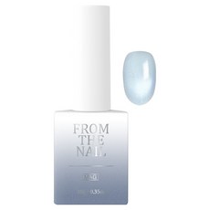 프롬더네일 마그넷 젤네일, FG280, 10g, 1개