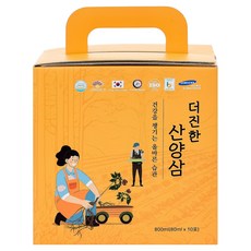 鹹陽山養參 更濃鬱的山養參, 10入, 1個, 80mg