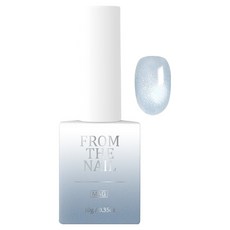 프롬더네일 마그넷 젤네일, FG281, 10g, 1개