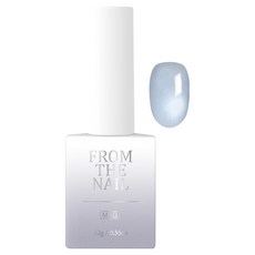 FROM THE NAIL 磁鐵凝膠美甲, BlueSilver(FG283), 10g, 1個