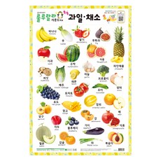 룰루랄라 사운드 벽보 쏙쏙 과일 채소