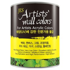 던에드워드 아티스트 월 벽화용 컬러 페인트, A10 웜 시에나, 473ml, 1개