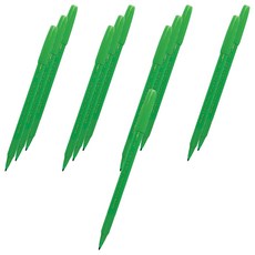 펜텔 수성 컬러펜 2.0 S360-111, Light Green, 12개