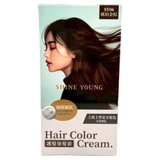 SHINE YOUNG 炫艷 護髮染髮霜 SY06, 1個, 琥珀金棕
